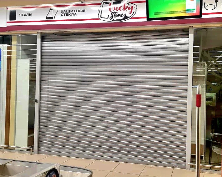 Роллетные ворота DoorHan в Дмитрове с установкой