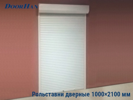 Рольставни на двери 1000×2100 мм в Дмитрове от 32436 руб.