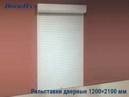Рольставни на двери 1200×2100 мм в Дмитрове от 35730 руб.