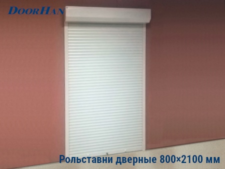 Рольставни на двери 800×2100 мм в Дмитрове от 29143 руб.